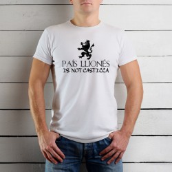 PAIS LLIONES INC RAPAZ